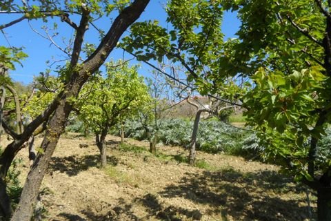 Helårsgrund i Offida, Ascoli Piceno, Offida - € 95.000 | Ref: ter19 - foto 8