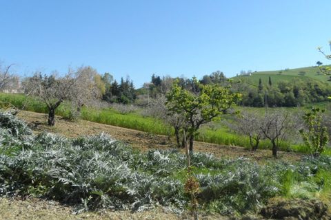 Helårsgrund i Offida, Ascoli Piceno, Offida - € 95.000 | Ref: ter19 - foto 10