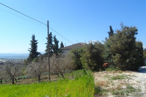 Helårsgrund i Offida, Ascoli Piceno, Offida - € 95.000 | Ref: ter19 - foto 12