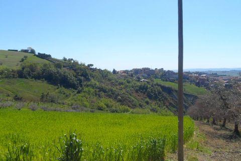 Helårsgrund i Offida, Ascoli Piceno, Offida - € 95.000 | Ref: ter19 - foto 13