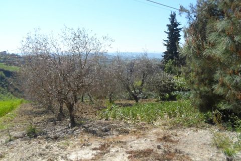 Helårsgrund i Offida, Ascoli Piceno, Offida - € 95.000 | Ref: ter19 - foto 14