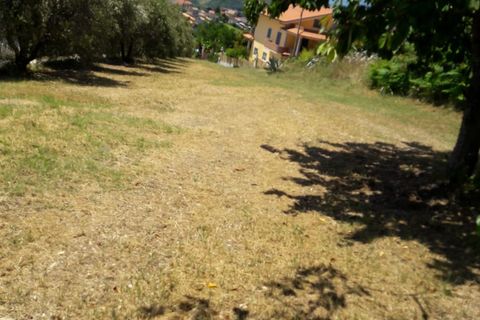Helårsgrund i Colonnella, Teramo, Colonnella - € 50.000 | Ref: ter112 - foto 1