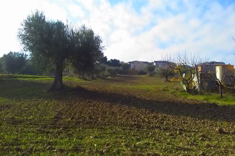 Tomt i Monteprandone, Ascoli Piceno, Monteprandone - € 40 000 | Ref: ter1009 - foto 2