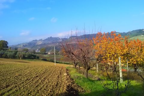 Tomt i Monteprandone, Ascoli Piceno, Monteprandone - € 40 000 | Ref: ter1009 - foto 3