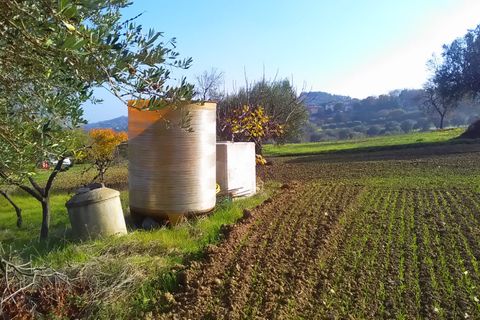 Tomt i Monteprandone, Ascoli Piceno, Monteprandone - € 40 000 | Ref: ter1009 - foto 5