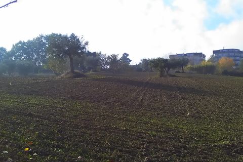 Tomt i Monteprandone, Ascoli Piceno, Monteprandone - € 40 000 | Ref: ter1009 - foto 6