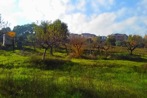 Tomt i Monteprandone, Ascoli Piceno, Monteprandone - € 40 000 | Ref: ter1009 - foto 7