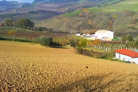 Tomt i Monteprandone, Ascoli Piceno, Monteprandone - € 40 000 | Ref: ter1009 - foto 10
