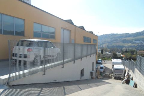 Erhvervsejendom i Grottammare, Ascoli Piceno, Grottammare - € 1.900.000 | Ref: cap120 - foto 17