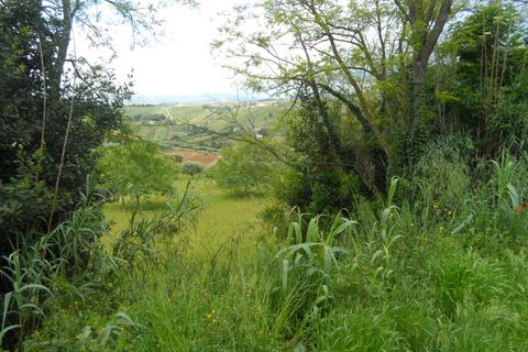Helårsgrund i Colonnella, Teramo, Colonnella - € 105.000 | Ref: ter14 - foto 2