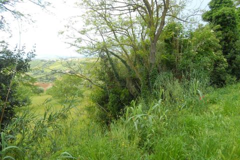 Helårsgrund i Colonnella, Teramo, Colonnella - € 105.000 | Ref: ter14 - foto 4