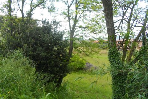 Helårsgrund i Colonnella, Teramo, Colonnella - € 105.000 | Ref: ter14 - foto 5