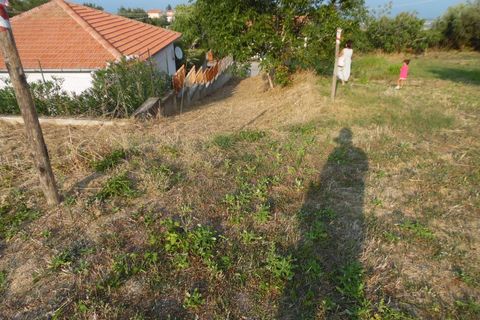 Helårsgrund i Colonnella, Teramo, Colonnella - € 80.000 | Ref: ter1014 - foto 2