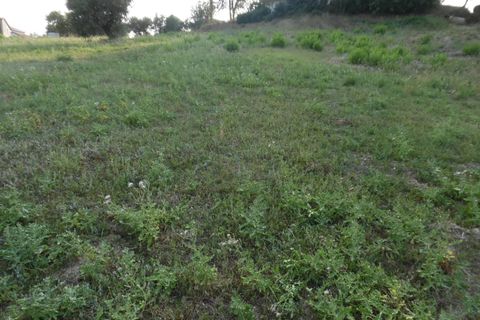 Helårsgrund i Colonnella, Teramo, Colonnella - € 80.000 | Ref: ter1014 - foto 5