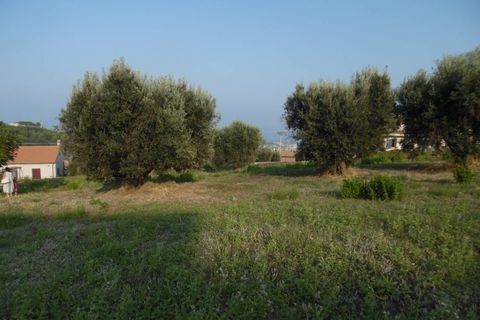 Helårsgrund i Colonnella, Teramo, Colonnella - € 80.000 | Ref: ter1014 - foto 4