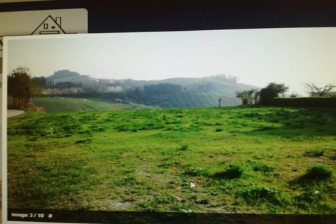 Terra a Castorano, Ascoli Piceno, Castorano - € 35.000 | Ref: ter121 - foto 3