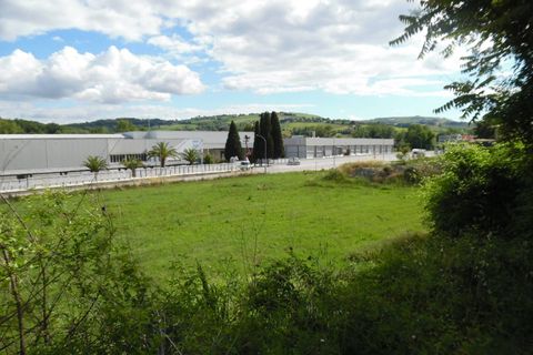 Terrain - Offida, Ascoli Piceno, Offida - € 70 000 | Réf : ter1010 - photo 3