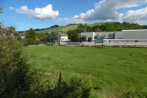 Terrain - Offida, Ascoli Piceno, Offida - € 70 000 | Réf : ter1010 - photo 4