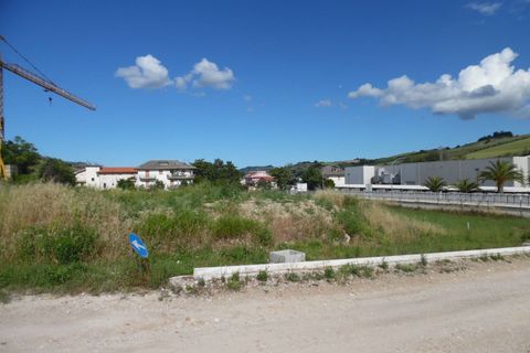 Terrain - Offida, Ascoli Piceno, Offida - € 70 000 | Réf : ter1010 - photo 6