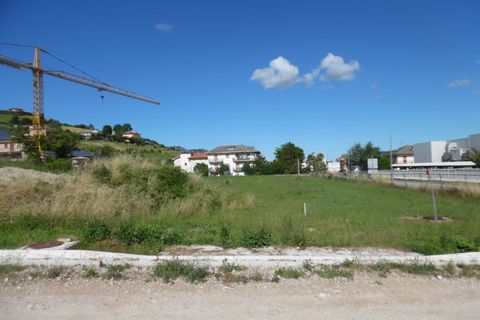 Terrain - Offida, Ascoli Piceno, Offida - € 70 000 | Réf : ter1010 - photo 7