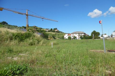 Terrain - Offida, Ascoli Piceno, Offida - € 70 000 | Réf : ter1010 - photo 8