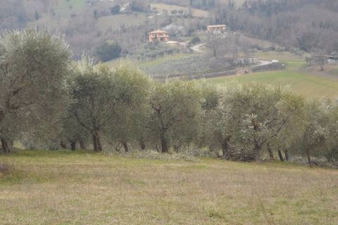 Villa i Folignano, Ascoli Piceno, Folignano - € 160.000 | Ref: Cas3888 - foto 9