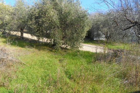 Villa i Monteprandone, Ascoli Piceno, Monteprandone - € 390.000 | Ref: cas76 - foto 5