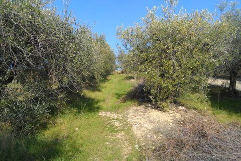 Villa i Monteprandone, Ascoli Piceno, Monteprandone - € 390.000 | Ref: cas76 - foto 7