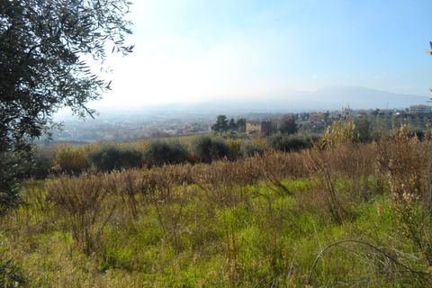 Villa i Monteprandone, Ascoli Piceno, Monteprandone - € 390.000 | Ref: cas76 - foto 9