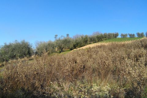 Villa i Monteprandone, Ascoli Piceno, Monteprandone - € 390.000 | Ref: cas76 - foto 13
