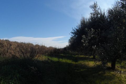 Villa i Monteprandone, Ascoli Piceno, Monteprandone - € 390.000 | Ref: cas76 - foto 14