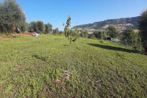 Terra a Ripatransone, Ascoli Piceno, Ripatransone - € 26.000 | Ref: ter21 - foto 2