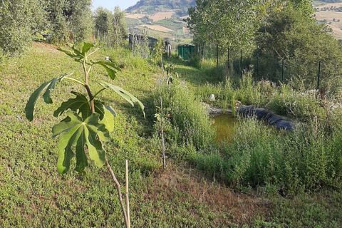 Terra a Ripatransone, Ascoli Piceno, Ripatransone - € 26.000 | Ref: ter21 - foto 3