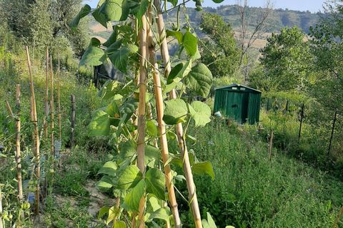 Terra a Ripatransone, Ascoli Piceno, Ripatransone - € 26.000 | Ref: ter21 - foto 17