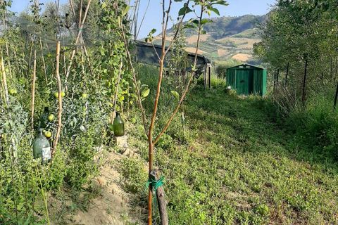 Terra a Ripatransone, Ascoli Piceno, Ripatransone - € 26.000 | Ref: ter21 - foto 25