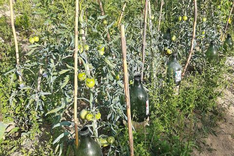 Terra a Ripatransone, Ascoli Piceno, Ripatransone - € 26.000 | Ref: ter21 - foto 26