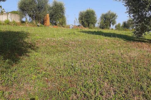Terra a Ripatransone, Ascoli Piceno, Ripatransone - € 26.000 | Ref: ter21 - foto 30