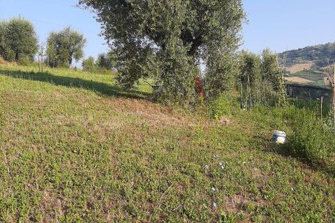 Terra a Ripatransone, Ascoli Piceno, Ripatransone - € 26.000 | Ref: ter21 - foto 31