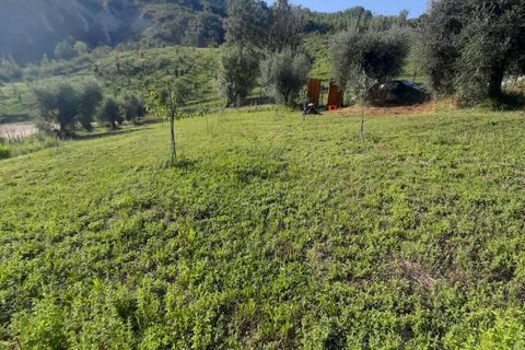 Terra a Ripatransone, Ascoli Piceno, Ripatransone - € 26.000 | Ref: ter21 - foto 36