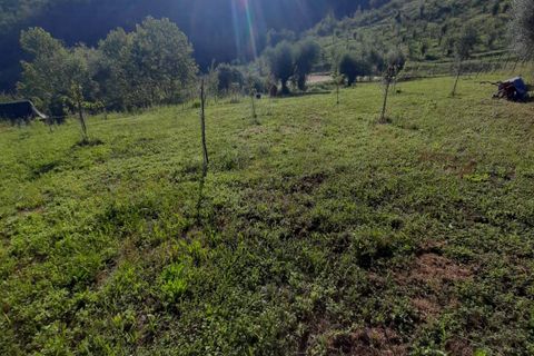 Terra a Ripatransone, Ascoli Piceno, Ripatransone - € 26.000 | Ref: ter21 - foto 37