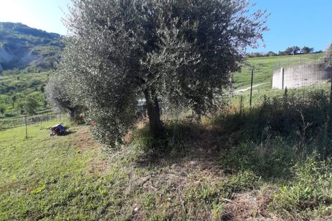 Terra a Ripatransone, Ascoli Piceno, Ripatransone - € 26.000 | Ref: ter21 - foto 38