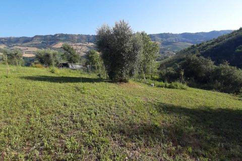 Terra a Ripatransone, Ascoli Piceno, Ripatransone - € 26.000 | Ref: ter21 - foto 40