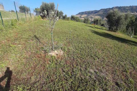Terra a Ripatransone, Ascoli Piceno, Ripatransone - € 26.000 | Ref: ter21 - foto 41