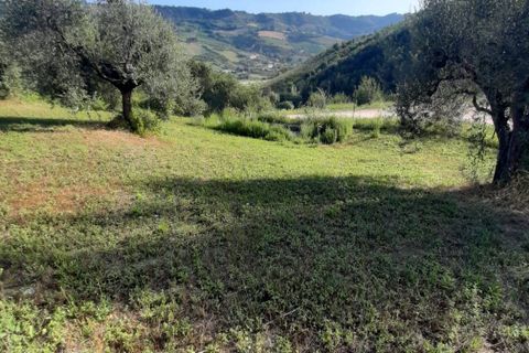 Terra a Ripatransone, Ascoli Piceno, Ripatransone - € 26.000 | Ref: ter21 - foto 46
