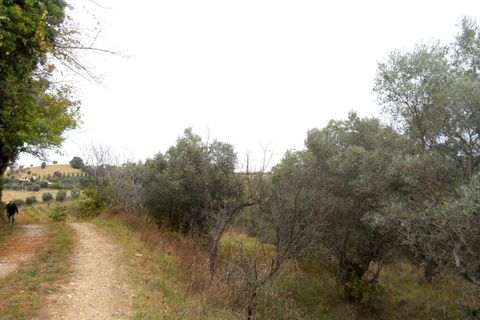 Tomt i Monteprandone, Ascoli Piceno, Monteprandone - € 500 000 | Ref: ter673 - foto 2