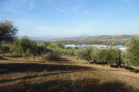 Helårsgrund i Controguerra, Teramo, Controguerra - € 100.000 | Ref: ter79 - foto 1