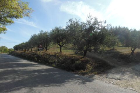 Helårsgrund i Controguerra, Teramo, Controguerra - € 100.000 | Ref: ter79 - foto 3