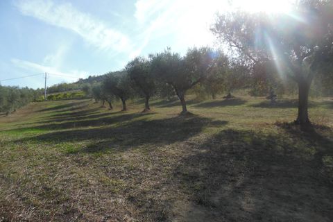 Helårsgrund i Controguerra, Teramo, Controguerra - € 100.000 | Ref: ter79 - foto 4