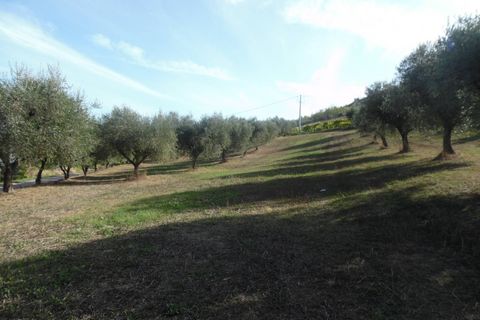 Helårsgrund i Controguerra, Teramo, Controguerra - € 100.000 | Ref: ter79 - foto 6