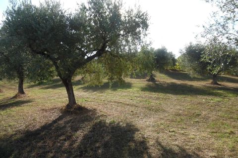 Helårsgrund i Controguerra, Teramo, Controguerra - € 100.000 | Ref: ter79 - foto 7